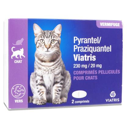 PYRANTEL PRAZIQUANTEL VIATRIS CHAT 2 COMPRIMES