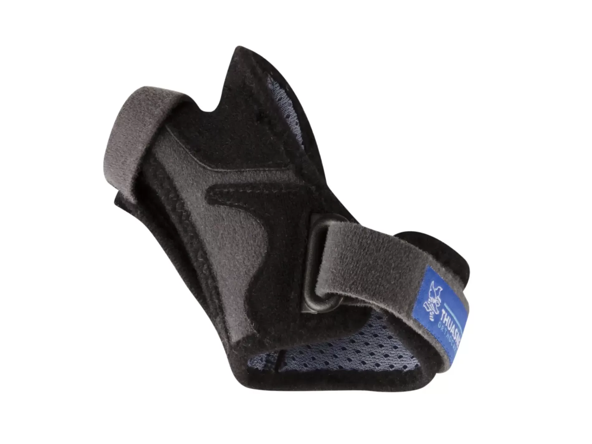 THUASNE RhizoImmo DROITE